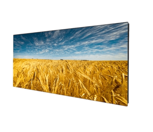 DigitalLink Bahrain MW7725-MO-H1 LED Display Module