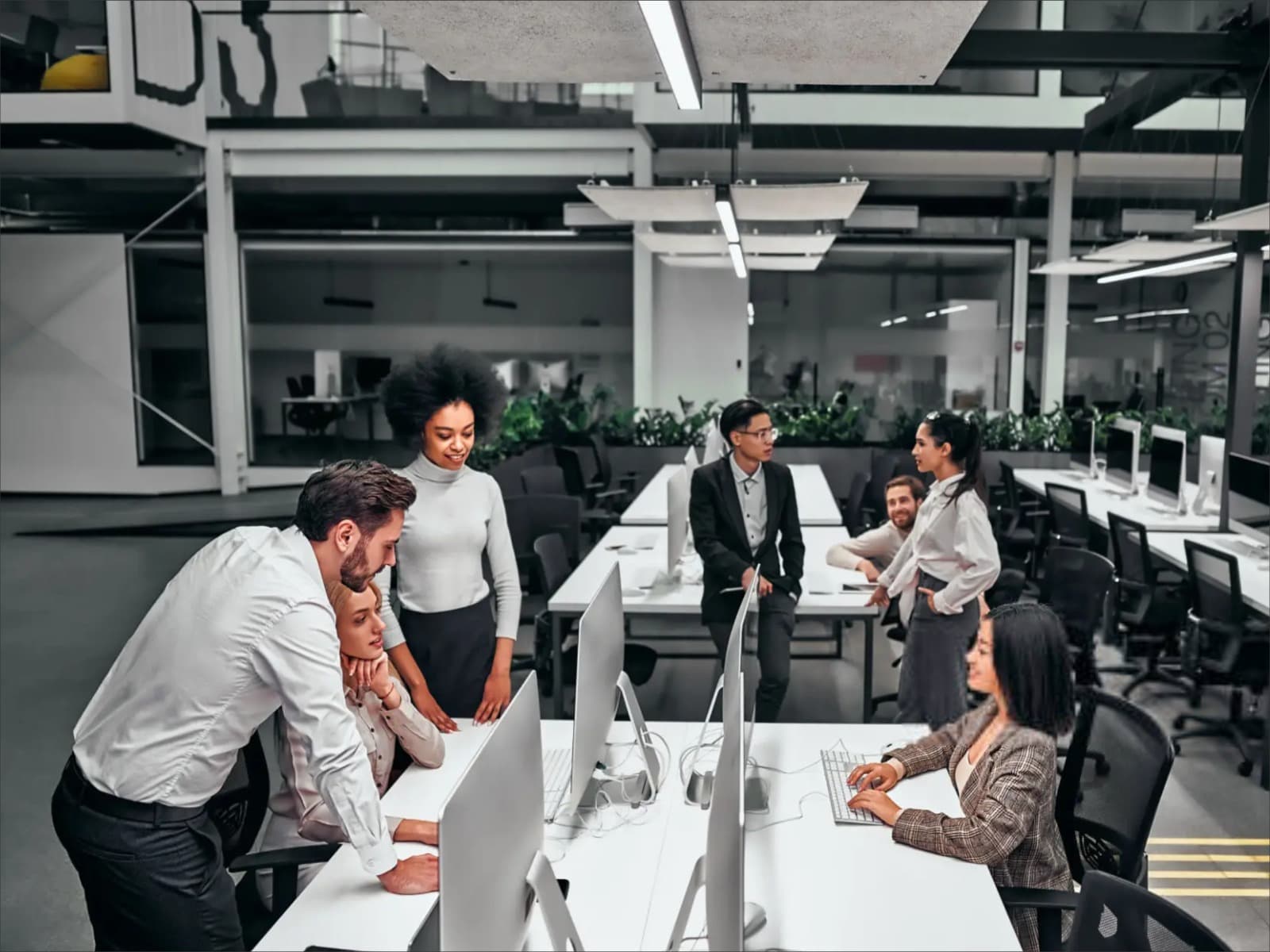 4K Video Conferencing Setup