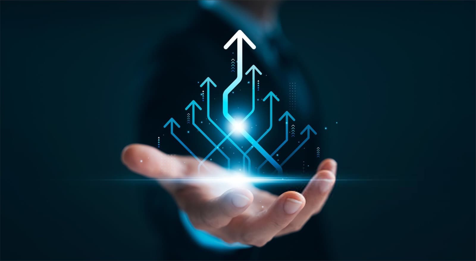 Professional Elevator Services